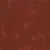 Burnt Sienna