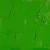 Permanent Green